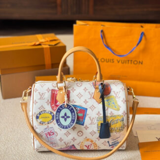 Louis Vuitton p160 Speedy Bag