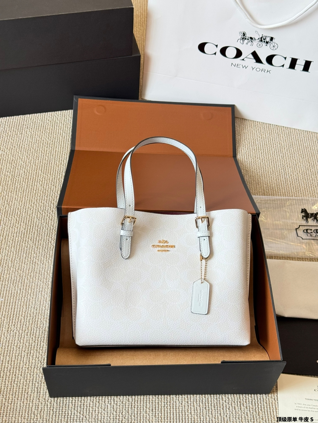 Coach Mollie 25 Logo Tote Bag in Calfskin Leather - Luxury Designer Handbag