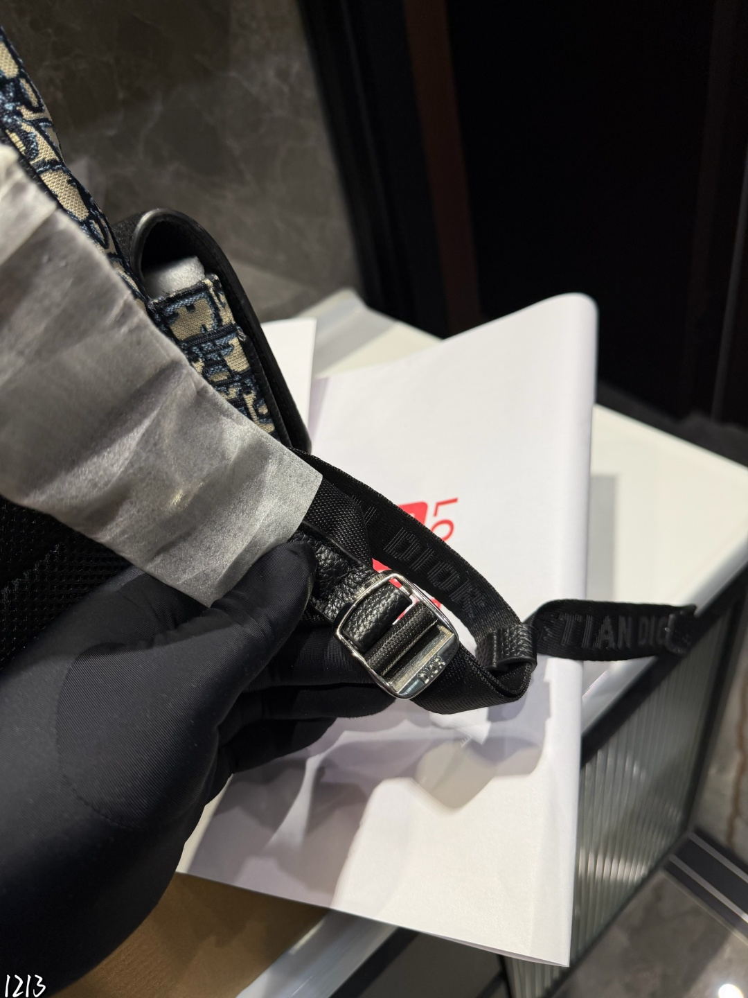 Dior p165 DIORTRAVEL 28 18 Backpack
