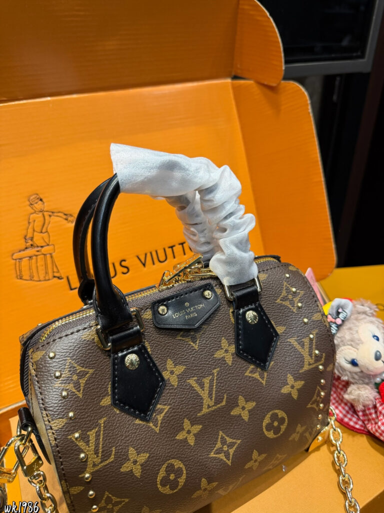 Louis Vuitton Retiro Calfskin Leather Speedy Bag 20 x 12 x 14 cm editorial product context 3