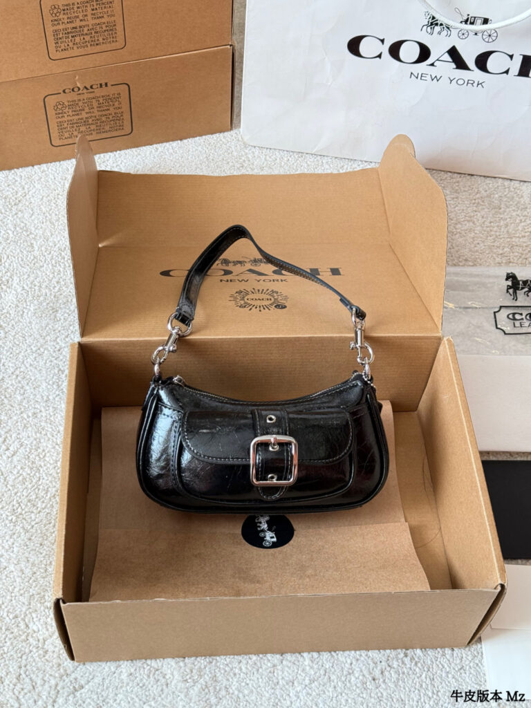 Coach Ashton Brown Calfskin Leather Crossbody Bag 19 cm editorial product context 3