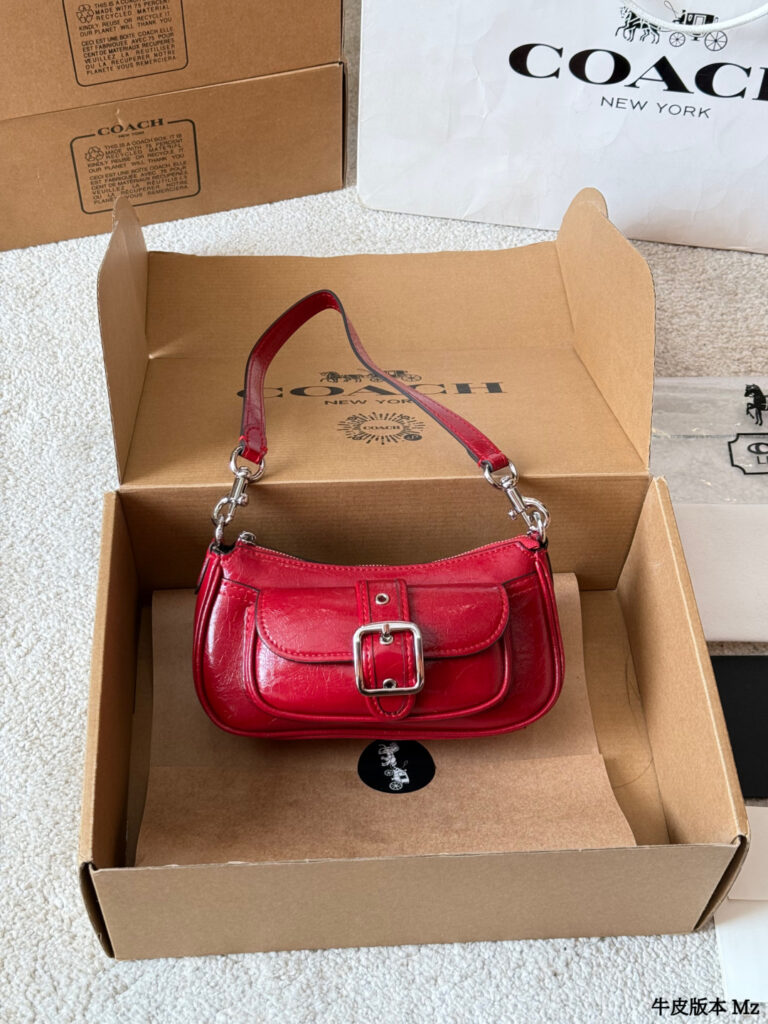 Coach Ashton Brown Calfskin Leather Crossbody Bag 19 cm editorial product context 1