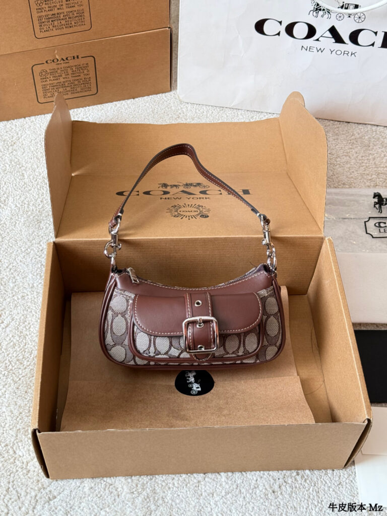 Coach Ashton Brown Calfskin Leather Crossbody Bag 19 cm editorial product context 2