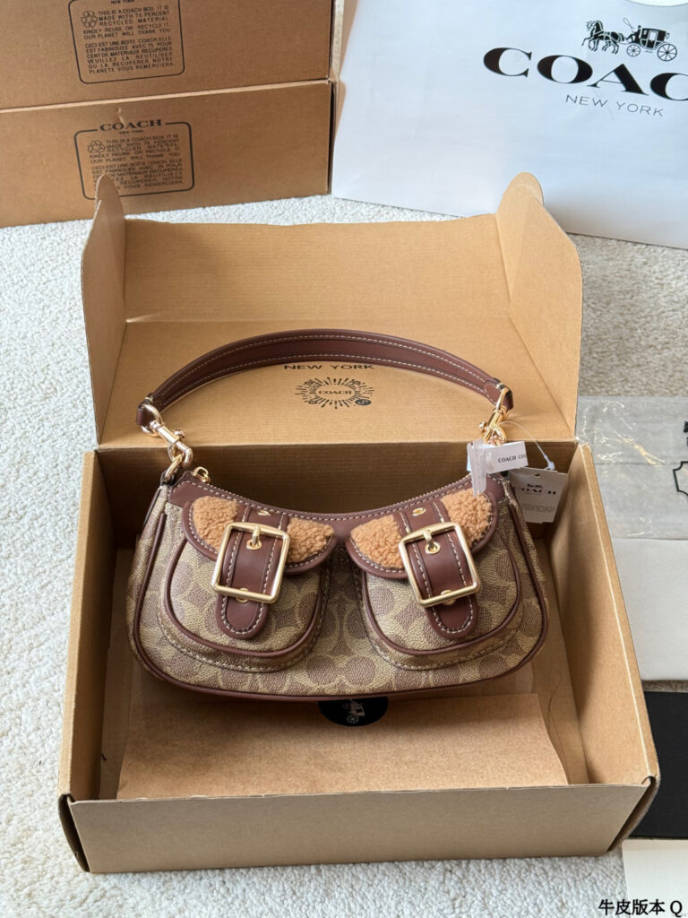 Coach Ashton Calfskin Leather Crossbody Bag 22 x 12 cm editorial product context 2