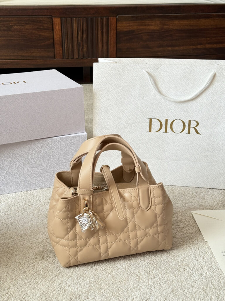 Dior Toujours Leather Bag 20 cm editorial product context 3