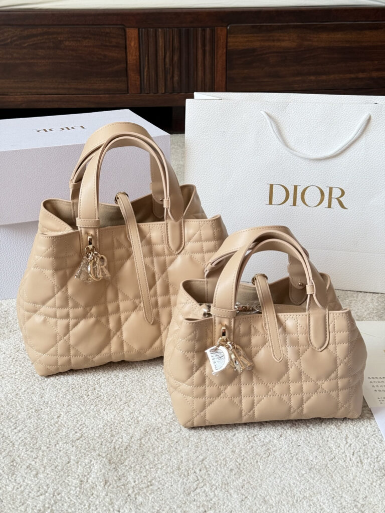 Dior Toujours Leather Bag 20 cm editorial product context 1