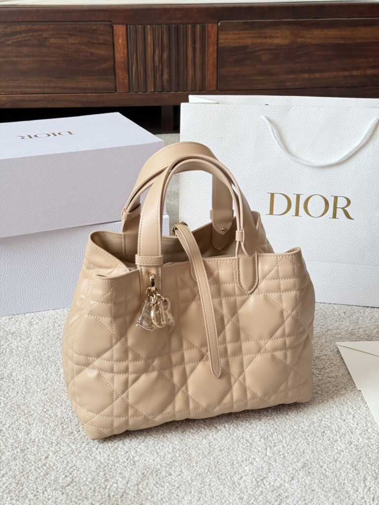 Dior Toujours Leather Bag 20 cm editorial product context 2