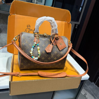 Louis Vuitton p170 Nano Speedy 30 LVSpeedy Retiro Handbag