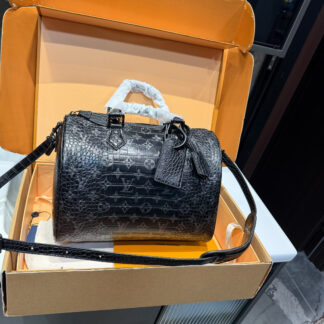 Louis Vuitton p155 Nano Speedy 30 LVSpeedy Retiro Handbag