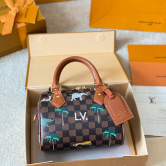 Louis Vuitton p125 SS26 Speedy 2026 Damier OK 20 Handbag