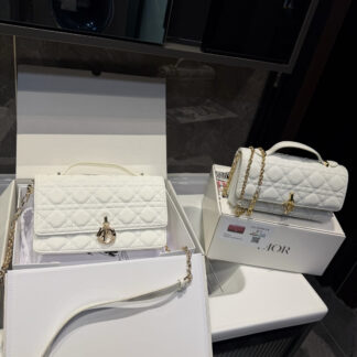 Dior p175p170 Miss WOC 24 14 21 Bag