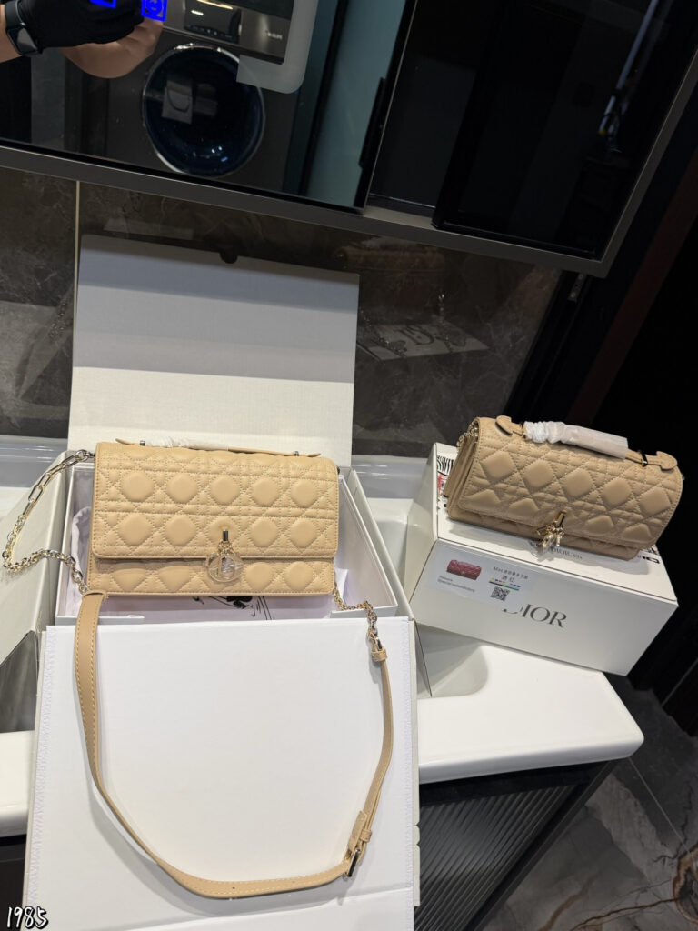 Dior P170p165 Miss Woc 21 Bag 24 x 5 x 14 cm editorial product context 1