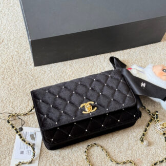 Chanel p205 WOC X12 13 Bag