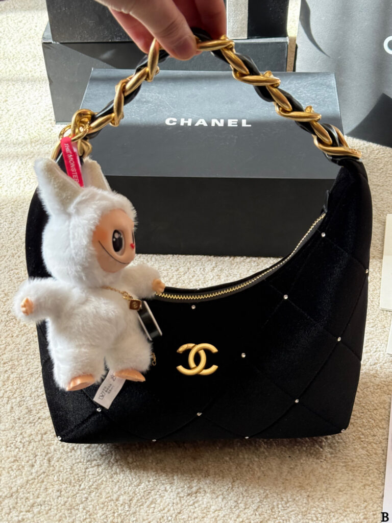 Chanel p215 Hobo CLogo x28x8cm Pattern Check Bags 24 x editorial product context 2
