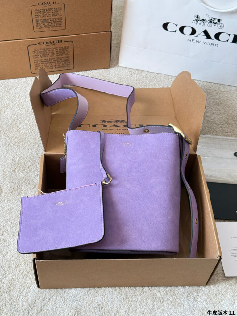 Coach Bleecker 20 Leather Handbag 23 cm editorial product context 2