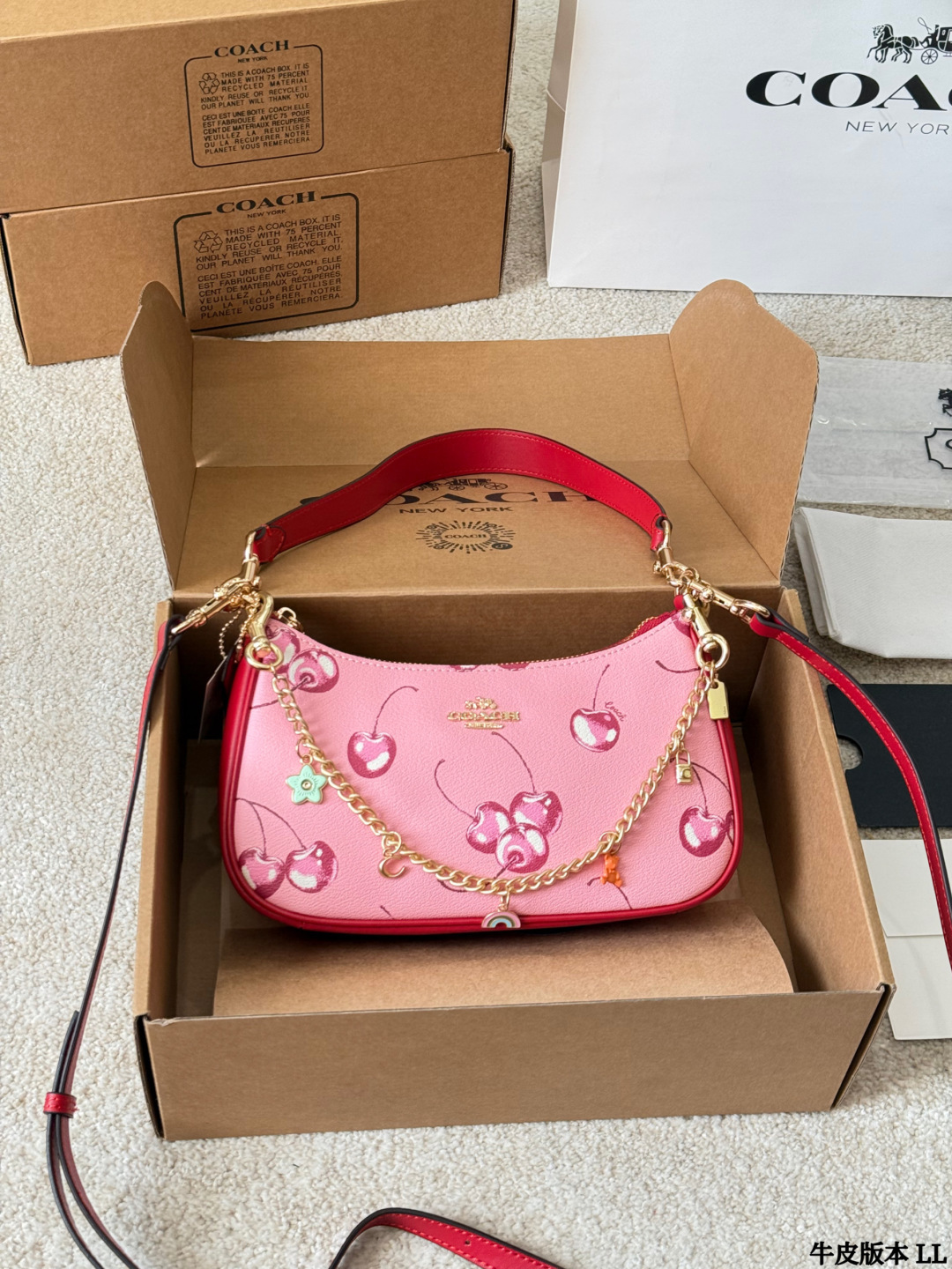Coach Shoulder Bag