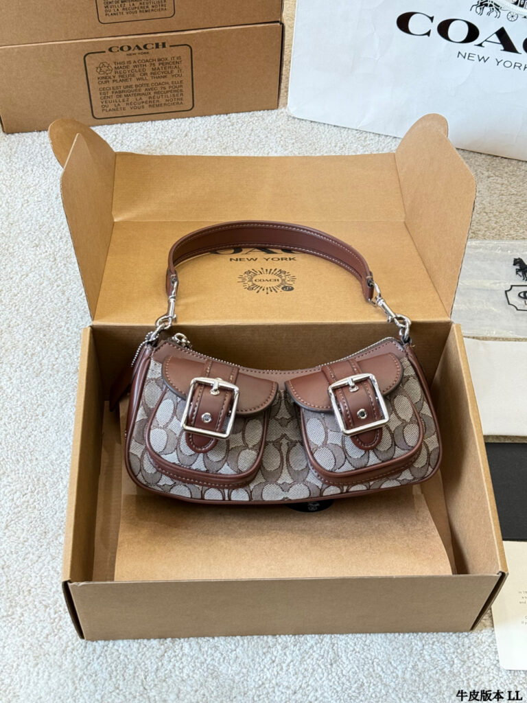 Coach Ashton Calfskin Leather Crossbody Bag 22 x 12 cm editorial product context 1
