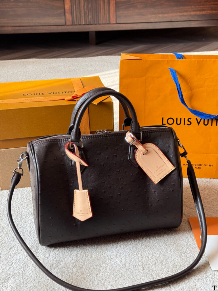 Louis Vuitton p160 Nano Speedy 30 Retiro Clutch 1.9 x editorial product context 2