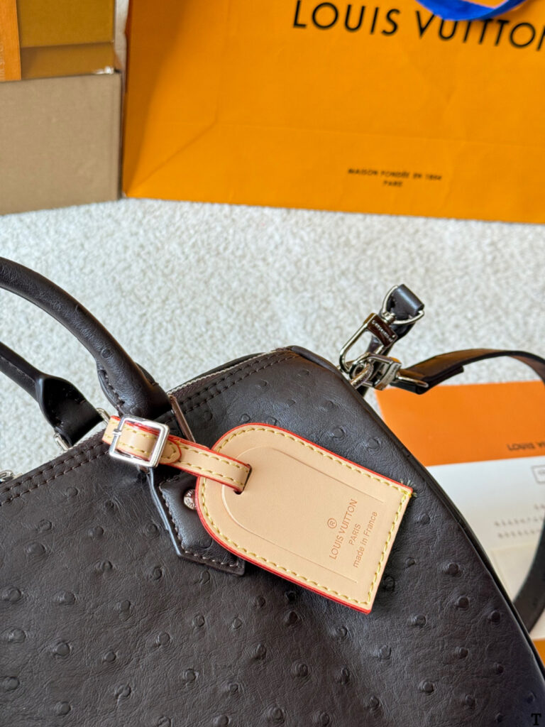 Louis Vuitton p160 Nano Speedy 30 Retiro Clutch 1.9 x editorial product context 3