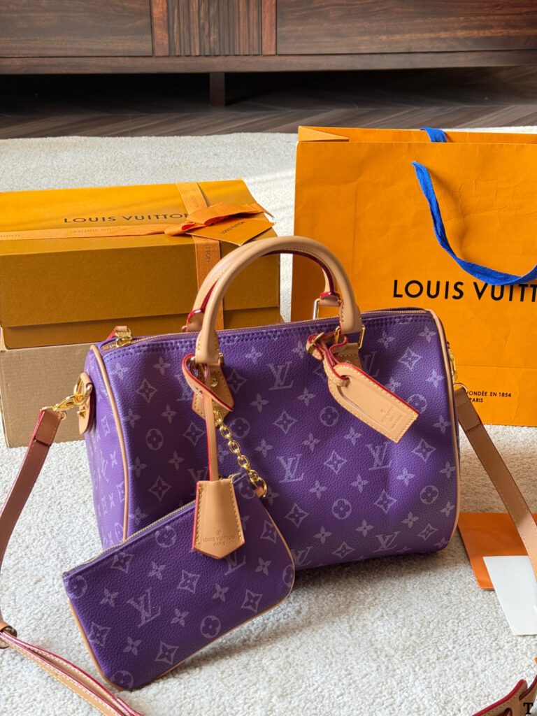 Louis Vuitton p140 Nano Speedy 30 Retiro Clutch 1.9 x editorial product context 1