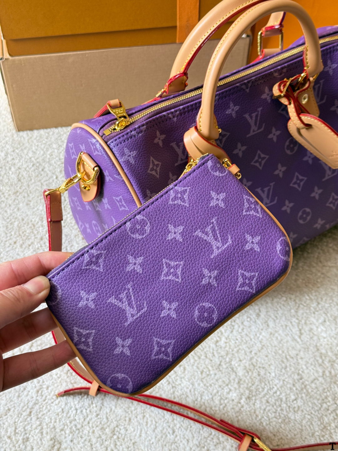 Louis Vuitton p140 Nano Speedy 30 Retiro Handbag