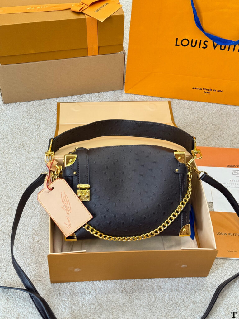 Louis Vuitton Side Trunk Leather Bag 16 cm editorial product context 1