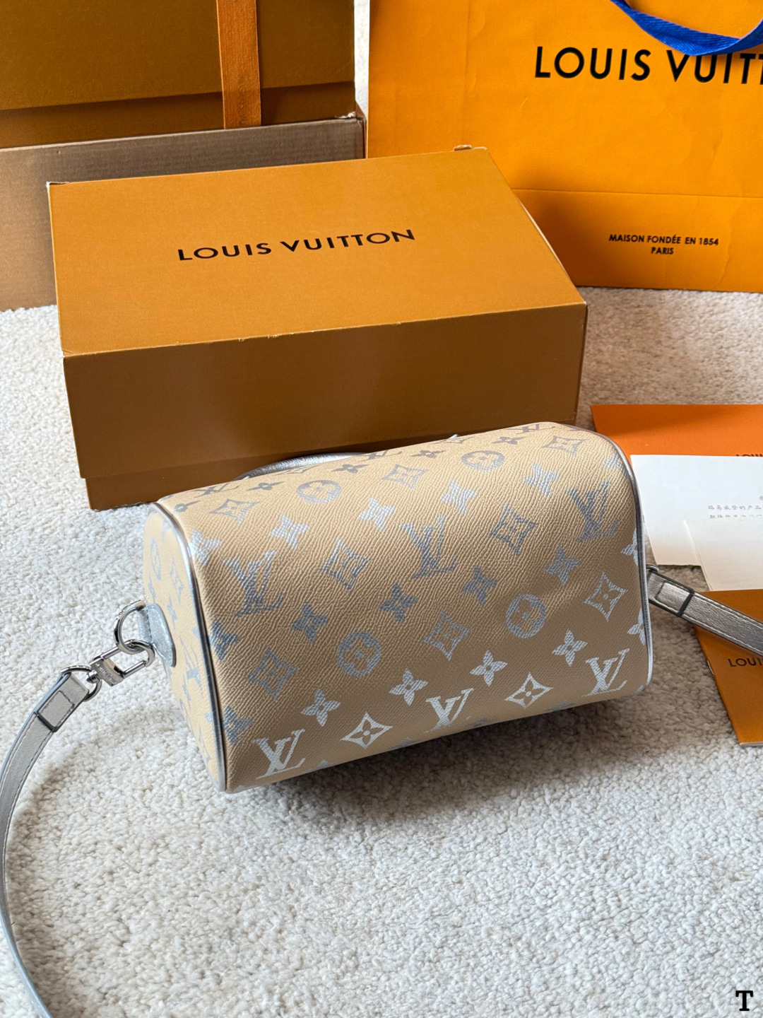 Louis Vuitton p120 speedy 20 Bag