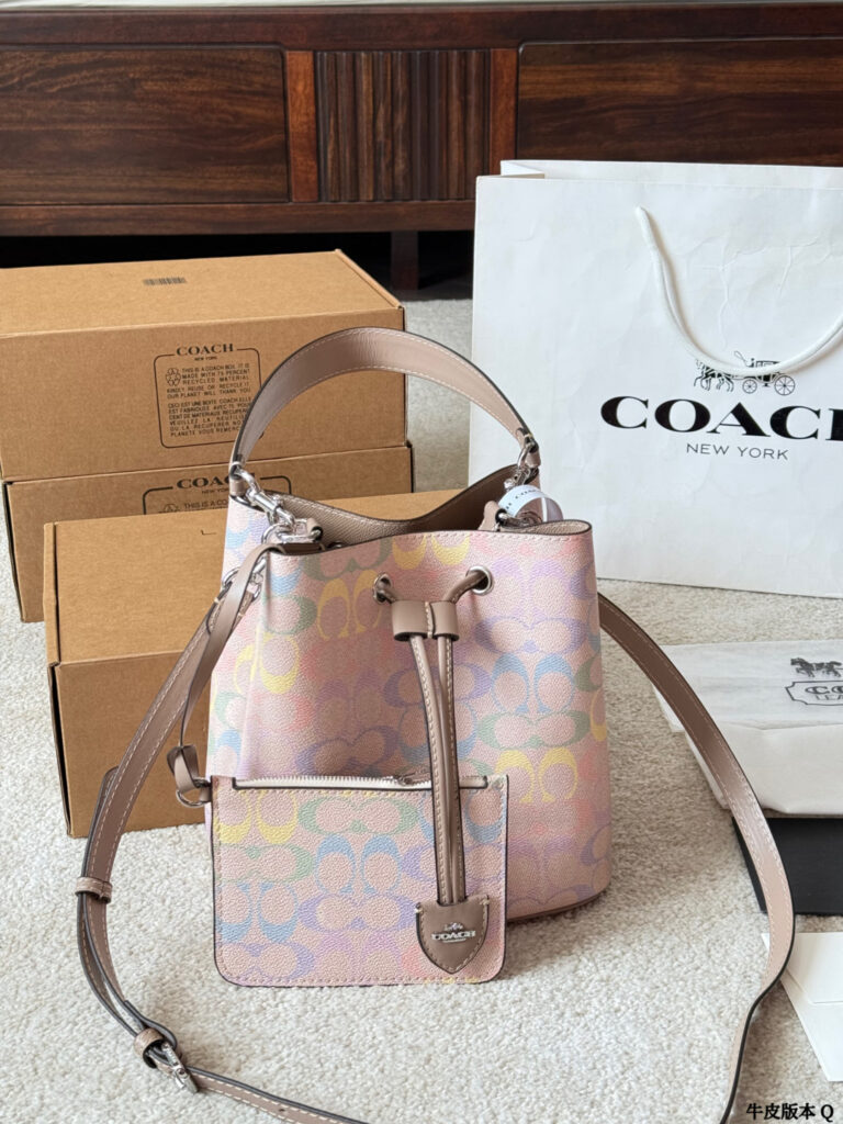Designer Caoch Rowan 22 Calfskin Leather Crossbody Bag 20 cm editorial product context 1