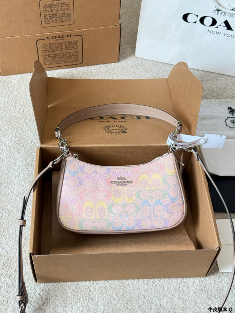Coach Teri 24 Leather Bag 15 cm editorial product context 1