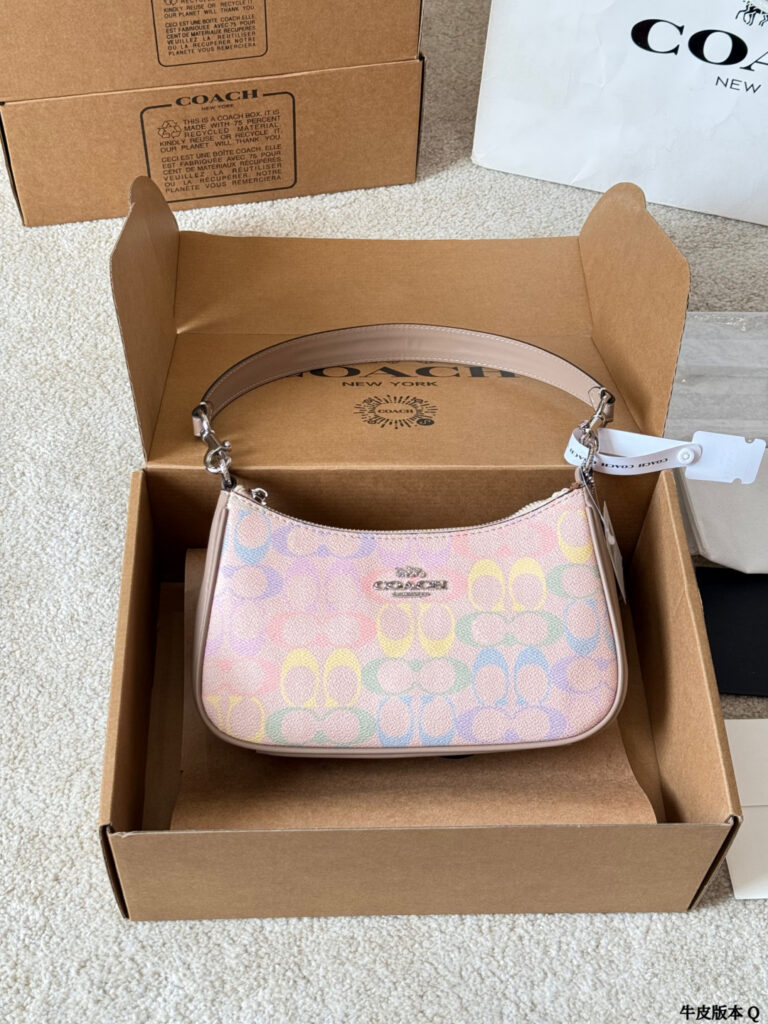 Coach Teri 24 Leather Bag 15 cm editorial product context 2