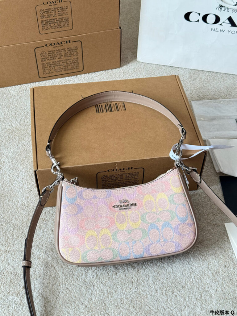 Coach Teri 24 Leather Bag 15 cm editorial product context 3