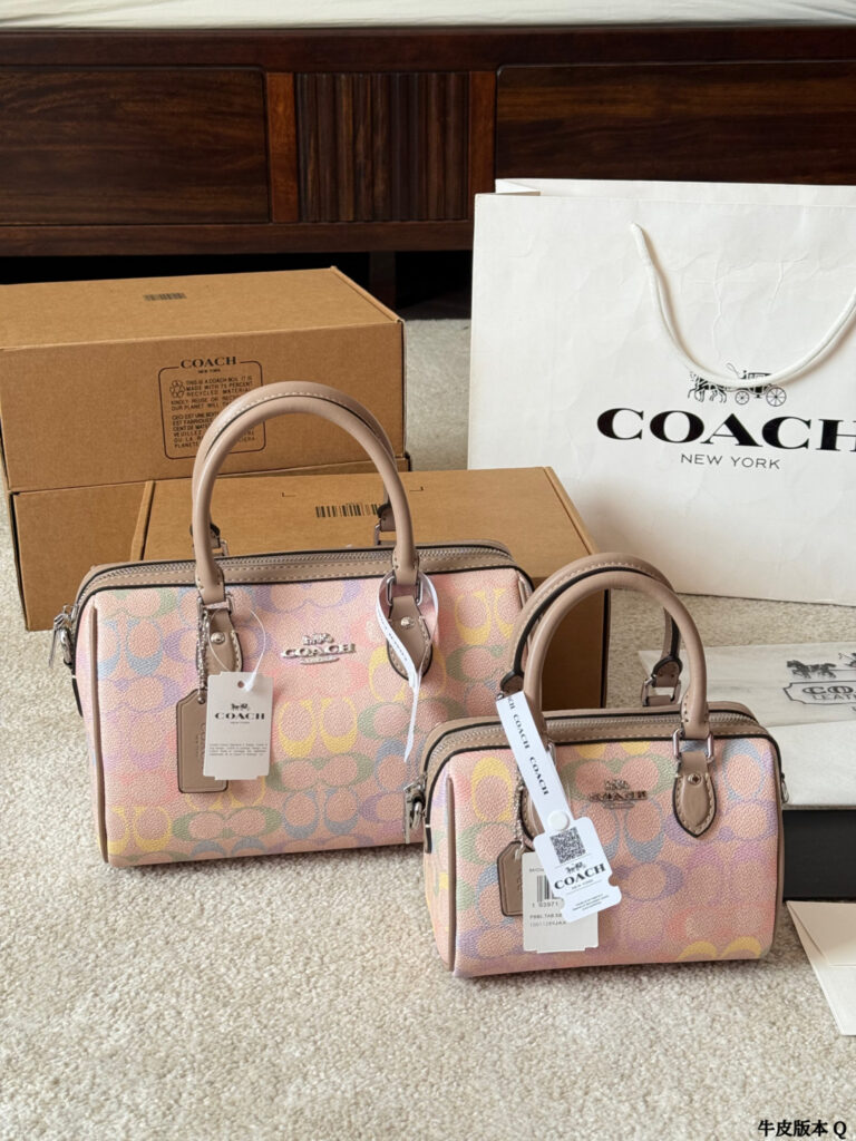 Coach Mini Rowan Ykk 25 Leather Bag 18 cm editorial product context 1