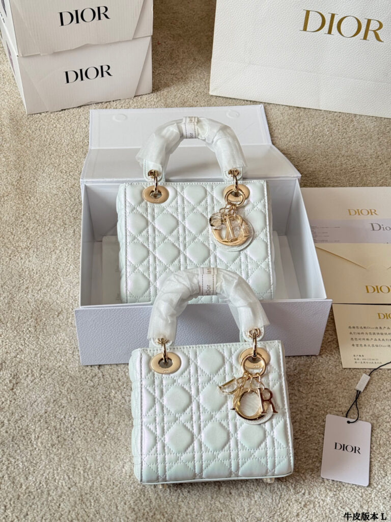 Dior Lady 20 Leather Crossbody Bag 17 cm editorial product context 2