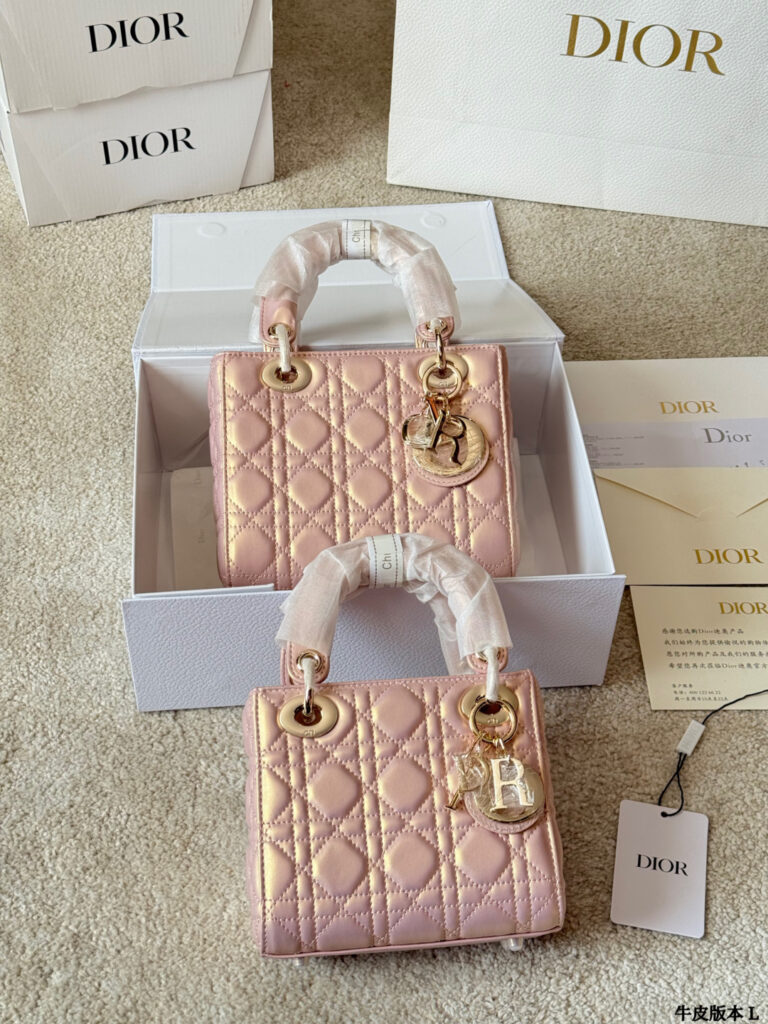 Dior Lady 20 Leather Crossbody Bag 17 cm editorial product context 1