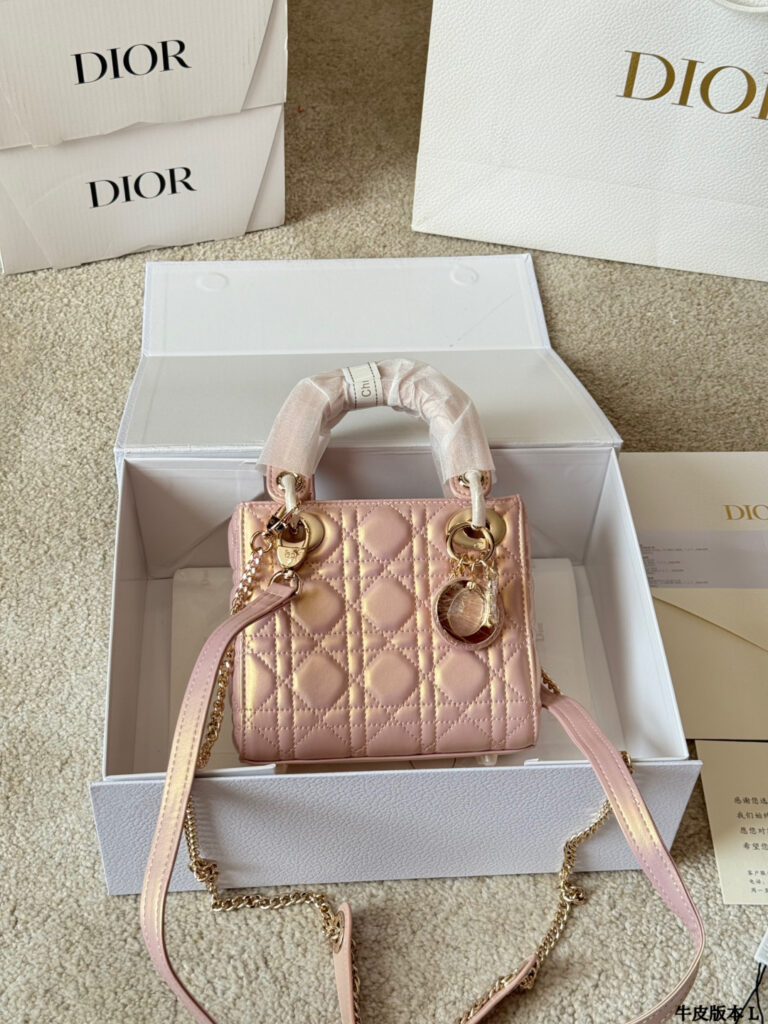 Dior Lady 20 Leather Crossbody Bag 17 cm editorial product context 3
