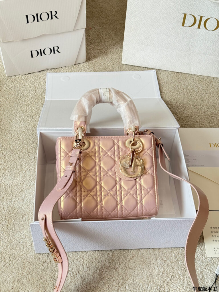 Dior Lady 20 Leather Crossbody Bag 17 cm editorial product context 2