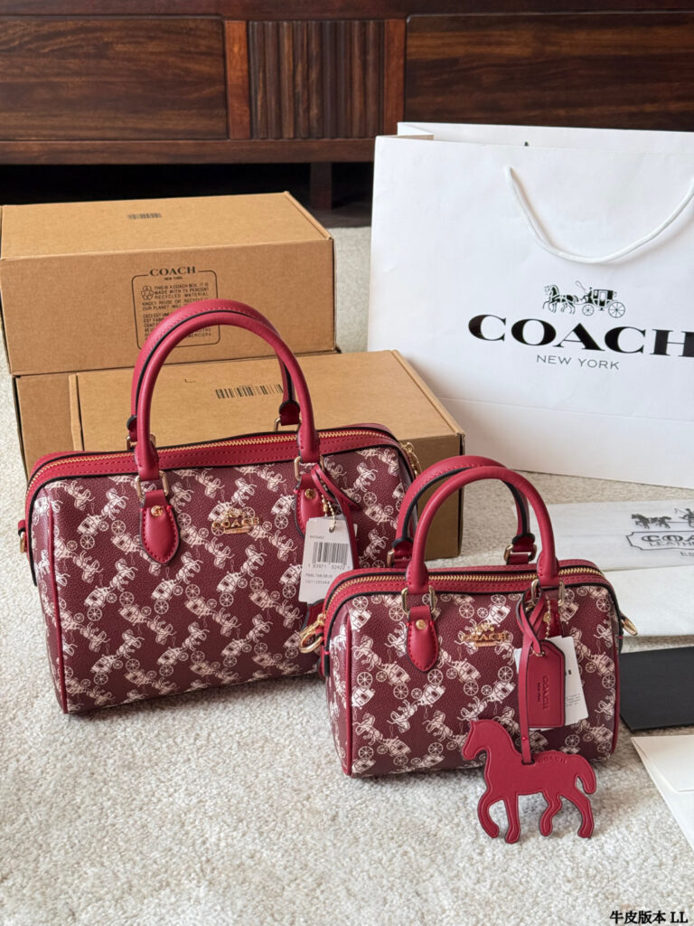 Coach Mini Rowan Ykk 25 Leather Bag 18 cm editorial product context 1