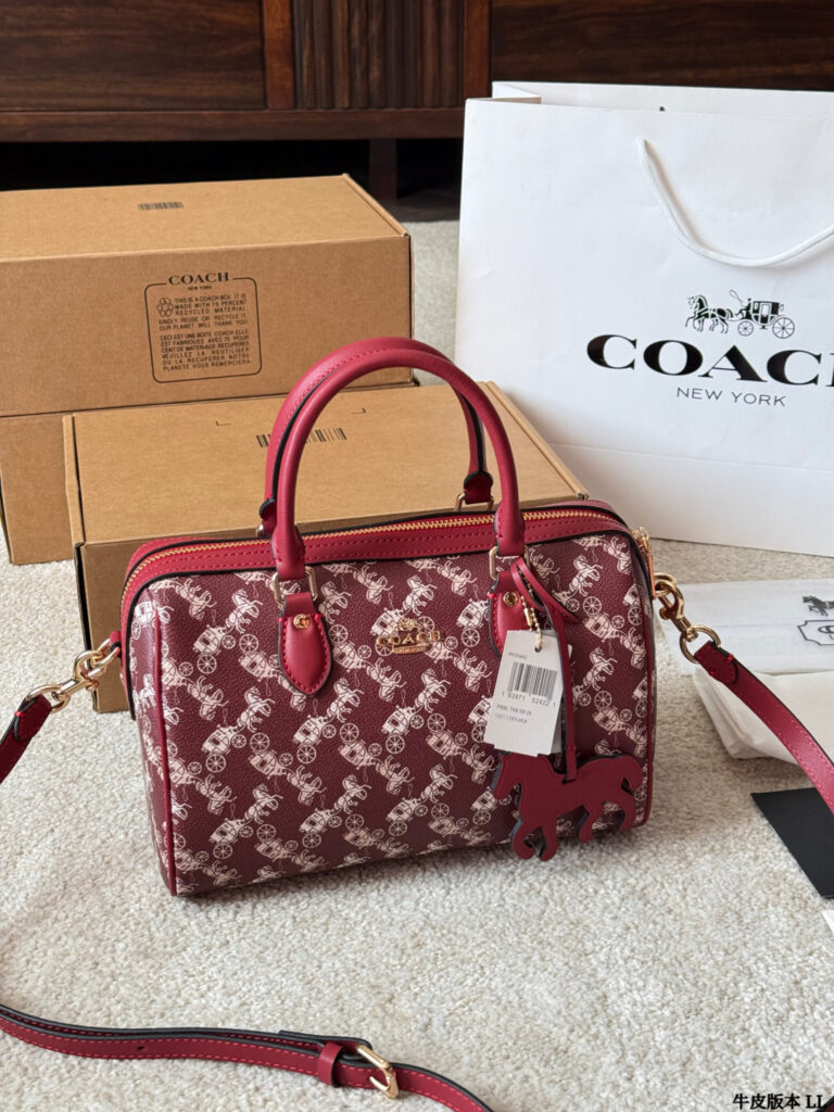 Coach Mini Rowan Ykk 25 Leather Bag 18 cm editorial product context 2