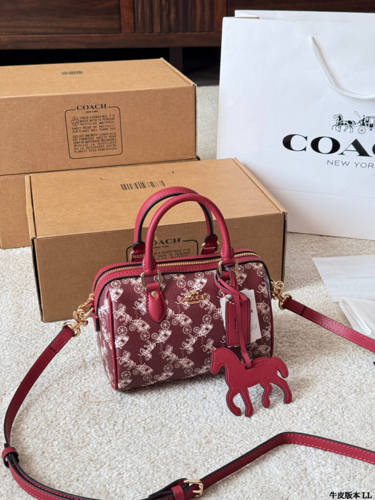 Coach Mini Rowan Ykk 25 Leather Bag 18 cm editorial product context 3