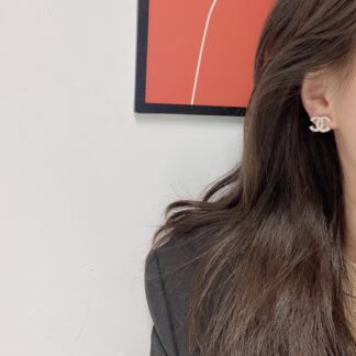 Luxury A733 Earrings