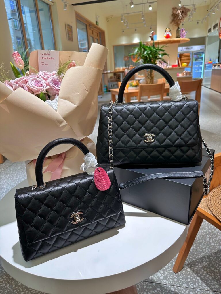 Chanel Coco Handle Hass 28 Leather Bag editorial product context 1