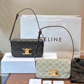 Celine p140 AVA Triomphe 20 10 IN Backpack