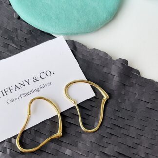 Luxury A1011 Earrings