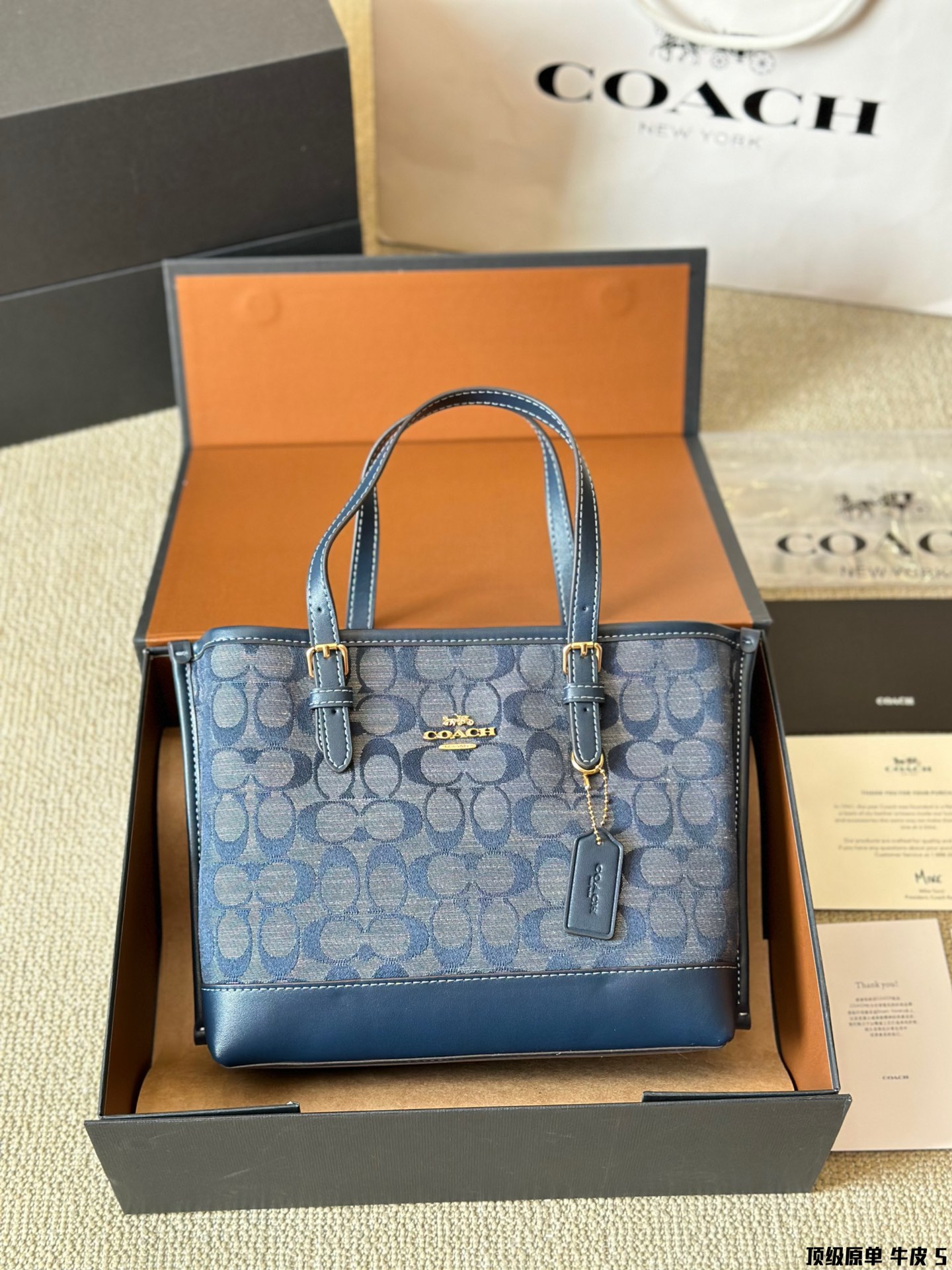 Coach Mollie 25 Logo Tote Bag in Calfskin Leather - Luxury Designer Handbag