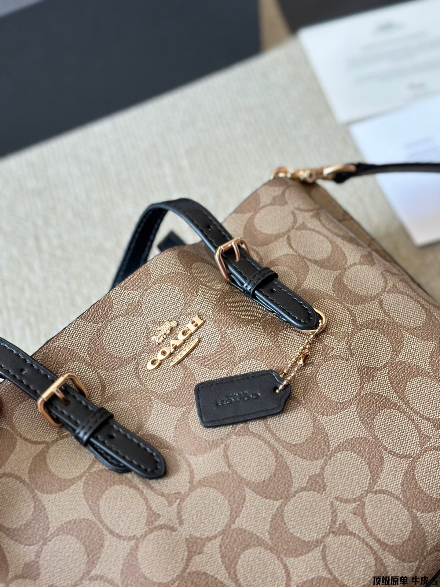 Coach Mollie 25 Logo Tote Bag in Premium Calfskin Leather