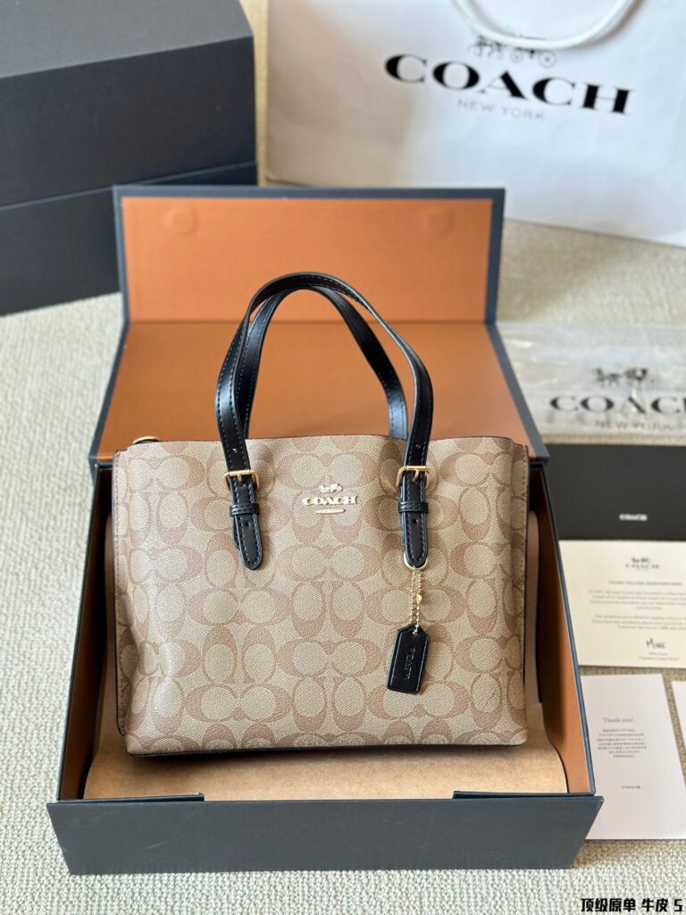 Coach Mollie 25 Logo Calfskin Leather Wallet 20 cm editorial product context 1