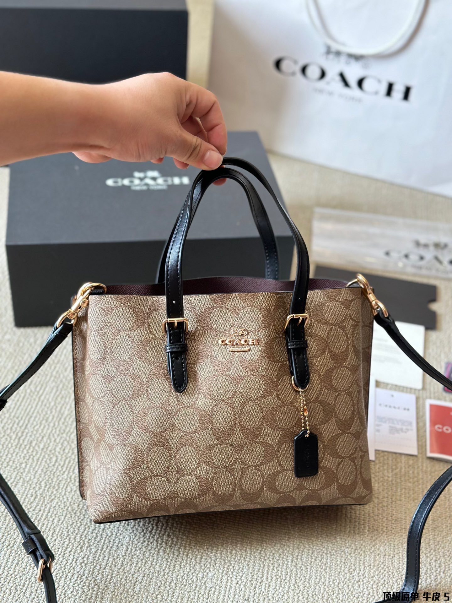 Coach Mollie 25 Logo Tote Bag in Premium Calfskin Leather