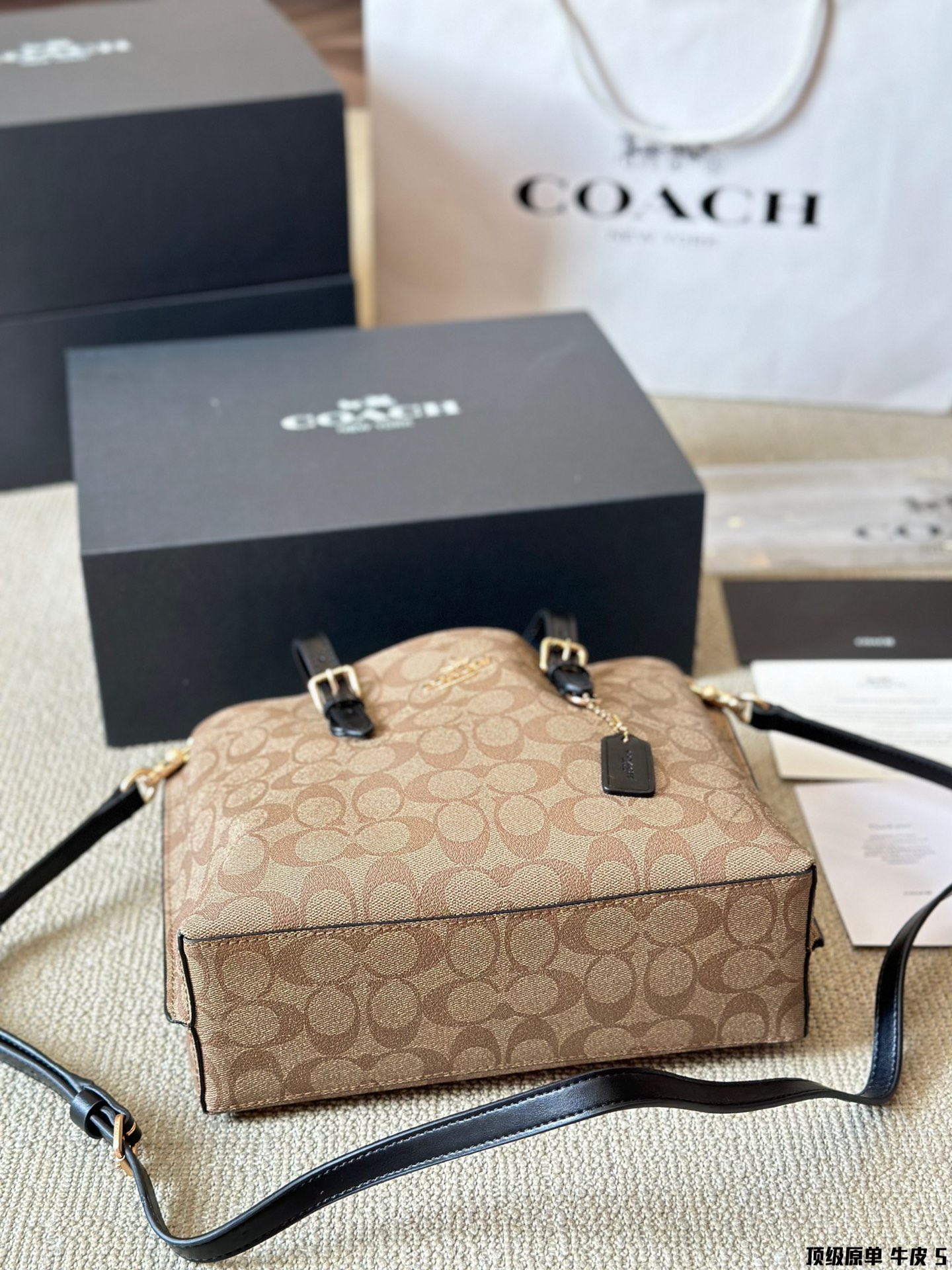 Coach Mollie 25 Logo Tote Bag in Premium Calfskin Leather
