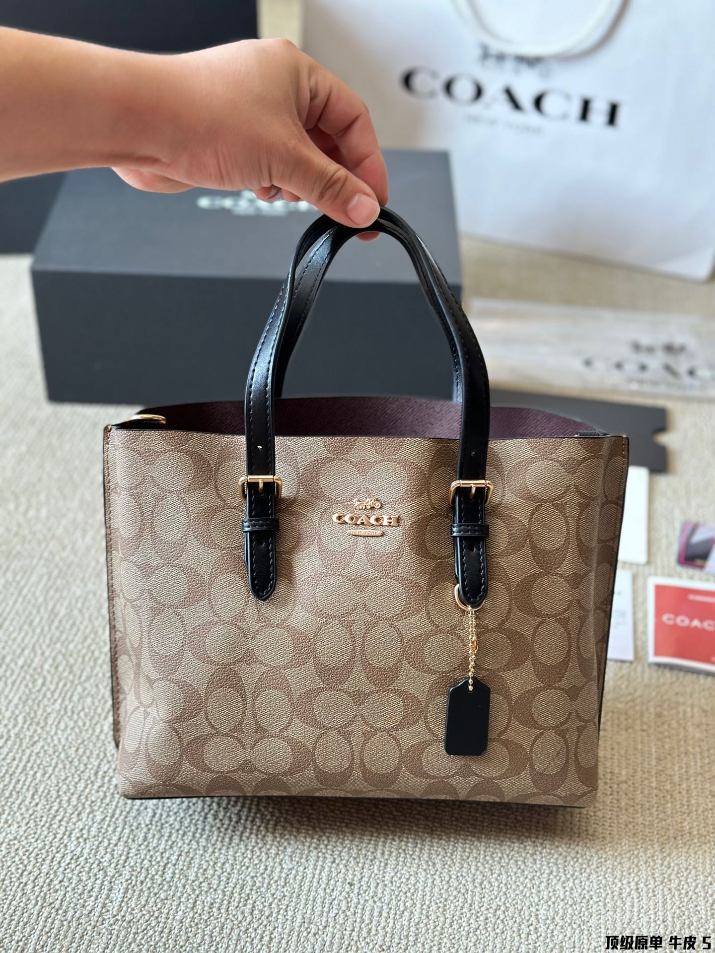 Coach Mollie 25 Logo Tote Bag in Premium Calfskin Leather