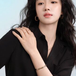 Luxury A1035 Lock Earrings